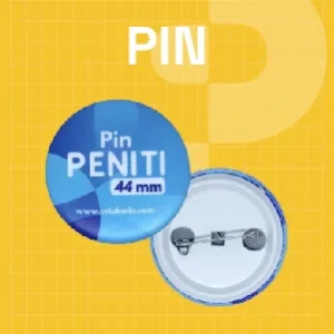 Pin